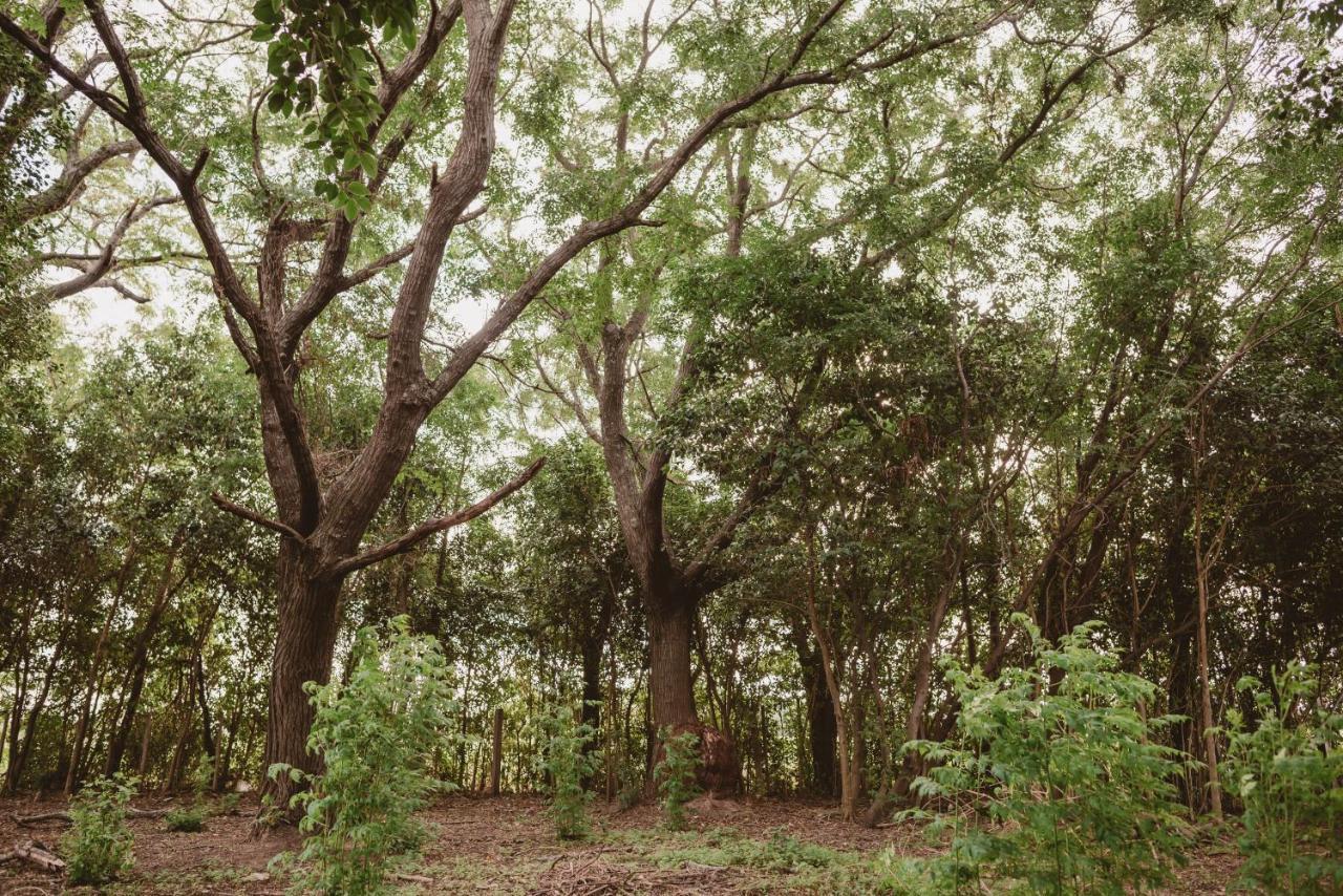 El Rincon - Casa De Campo 卡梅隆 外观 照片